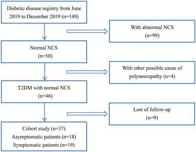 The Physiological Significance of A-Waves in Early Diabetic Neuropathy: Assessment of Motor Nerve Fibers by Neurophysiological Techniques